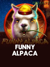 Funny Alpaca banner